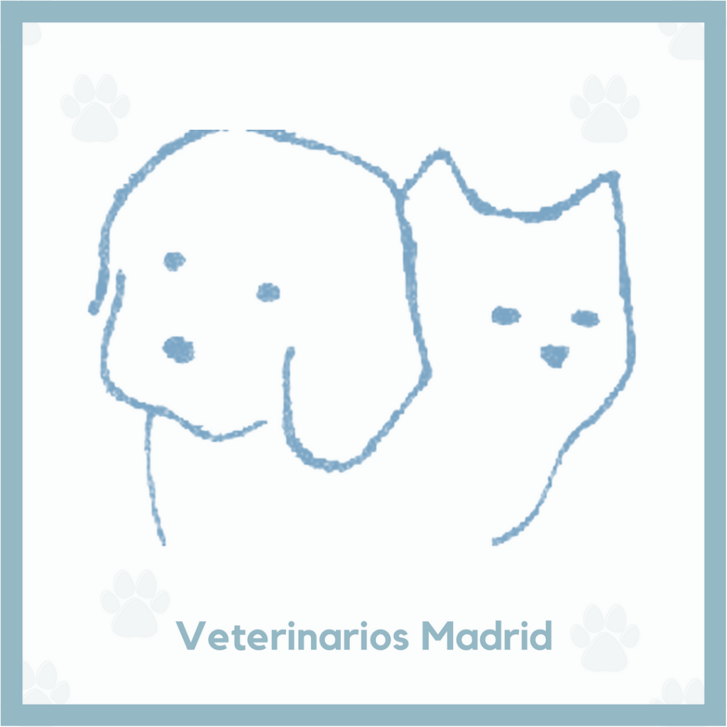 Clínica veterinaria Alcalá Norte